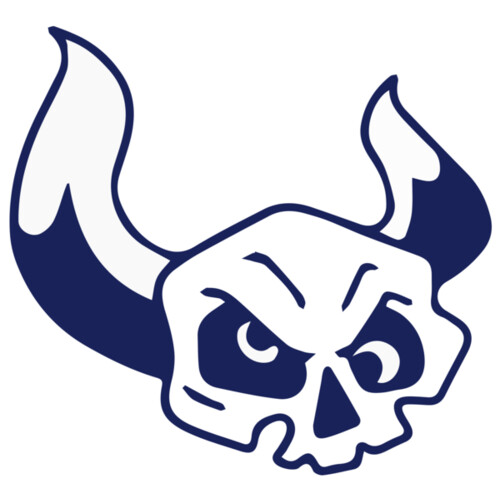 Elements Skulls logo template 38 Miniaturansicht