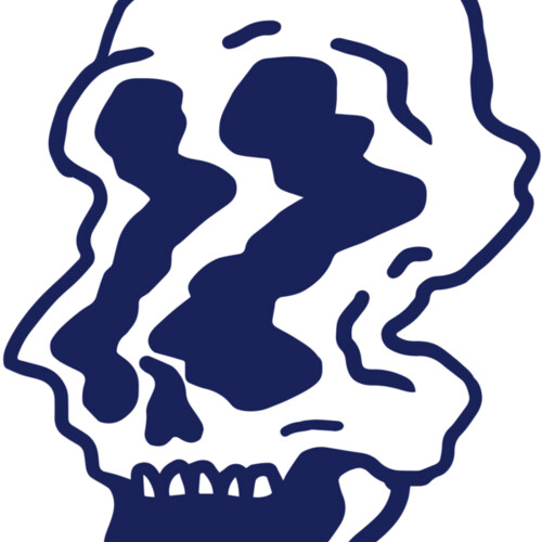 Elements Skulls logo template 95 Miniaturansicht
