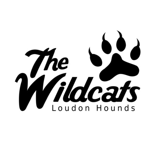 School Wildcats 01 Miniaturansicht