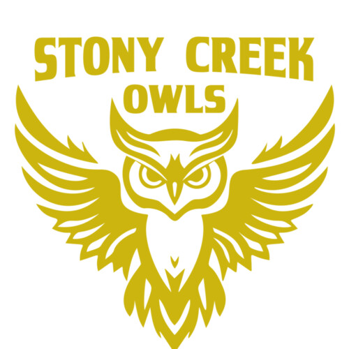 School Owls 04 Miniaturansicht