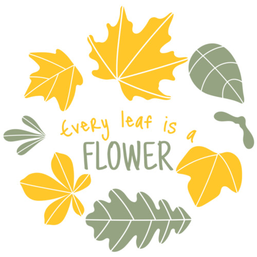 Fall Season 13 Miniaturansicht