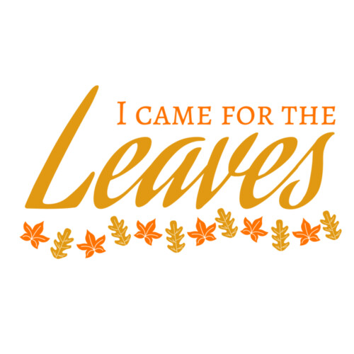 Fall Season 28 Miniaturansicht