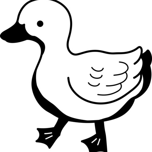 Duck   Clipart 2 Miniaturansicht