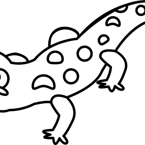 Newt   Clipart 2 Miniaturansicht