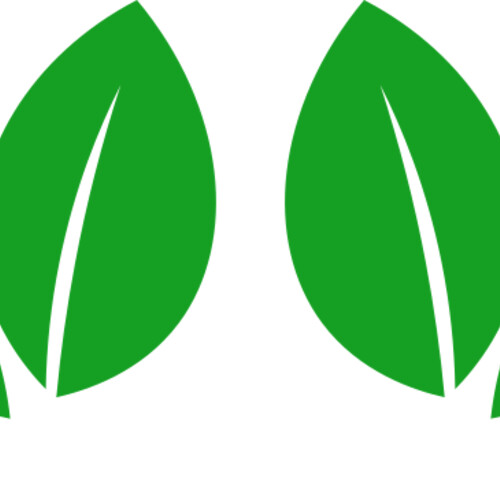 11 Leaves Miniaturansicht