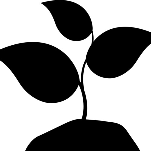 42 Plant Miniaturansicht