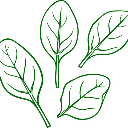 Spinach Miniaturansicht