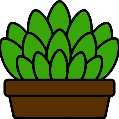 Succulent Plant Miniaturansicht