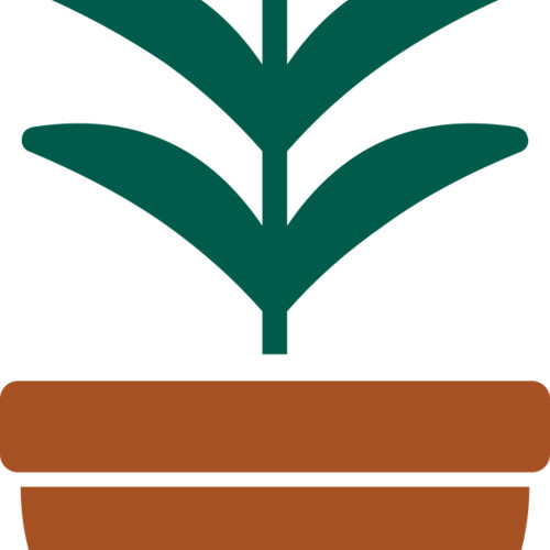 Plant 2 Miniaturansicht