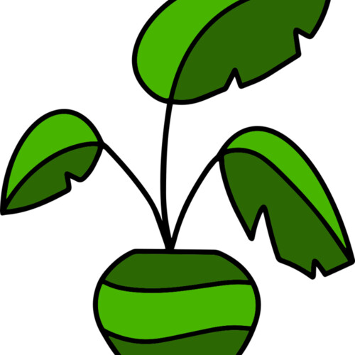 Plant Miniaturansicht