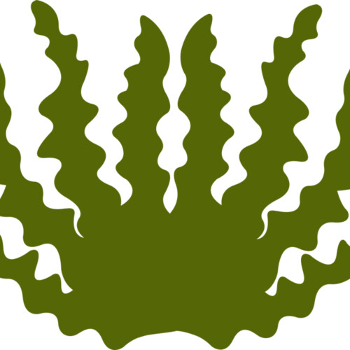 Sea Plant 2 Miniaturansicht