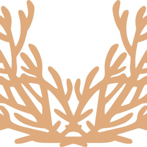 Sea Plants Miniaturansicht