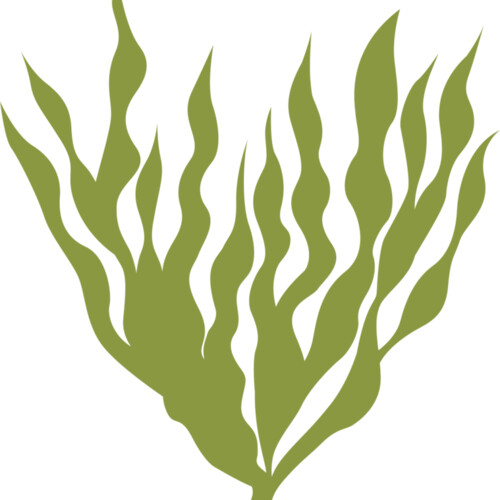 Sea Plants 5 Miniaturansicht