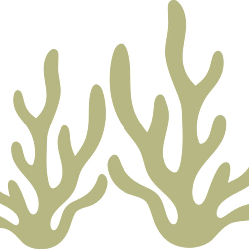 Sea Plants 2 Miniaturansicht