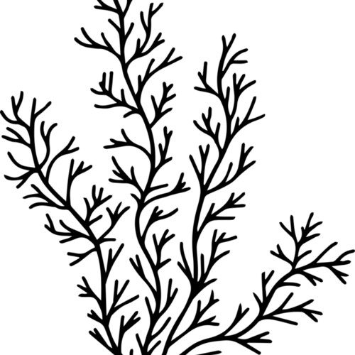 Herb Sprig Miniaturansicht