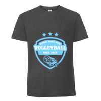 Herren T-Shirt Iconic 195 Ringspun Premium T Miniaturansicht