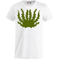 Clique Basic-T Miniaturansicht