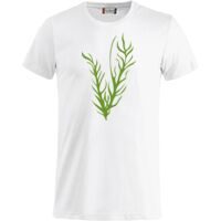 Clique Basic-T Miniaturansicht