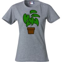 Clique Basic-T Women Miniaturansicht